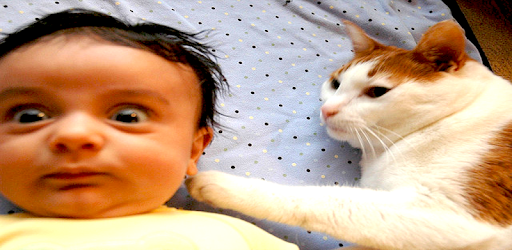 Baby Funny Videos 2017 PC screenshot Baby Funny Videos 2017 PC screenshot