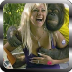 😍😀😆😄 Funny Videos 😄😆😀😍 for PC
