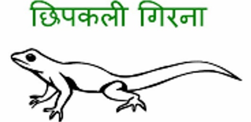 Chhipkali girana (in Hindi) PC screenshot Chhipkali girana (in Hindi) PC screenshot