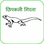 Chhipkali girana (in Hindi) for PC Chhipkali girana (in Hindi) for PC