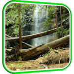Waterfall in Forest LWP for PC Waterfall in Forest LWP for PC