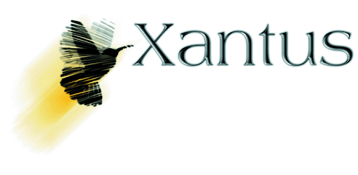 Xantus Keyboard PC screenshot