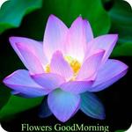 Flowers GoodMorning GoodNight for PC Flowers GoodMorning GoodNight for PC