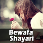 Bewafa Shayari for PC Bewafa Shayari for PC