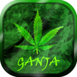 Ganja Live Wallpaper for PC Ganja Live Wallpaper for PC